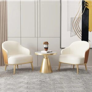 Modern lounge chair set with round coffee table and premium upholstered seating for living room